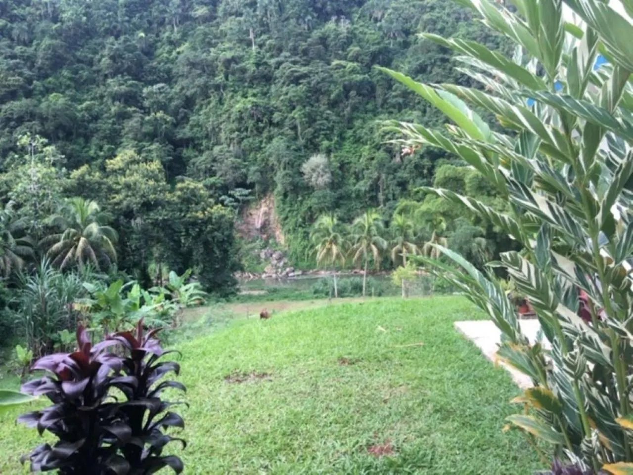 Casa De Campo Rio Arriba Arecibo Porto Rico